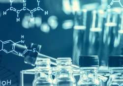 SYSTEM ENDOCANNABINOID