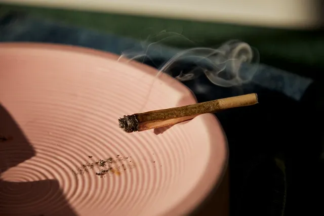 SYSTEM ENDOCANNABINOID