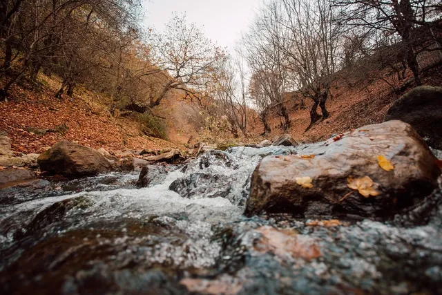 Natura 24 Krem do Skóry Suchej i Wrażliwej –  75g Cannaderm